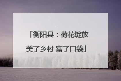 衡阳县：荷花绽放 美了乡村 富了口袋