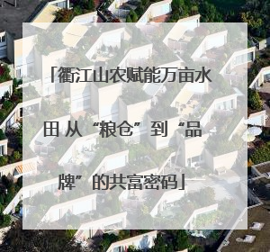 衢江山农赋能万亩水田 从“粮仓”到“品牌”的共富密码