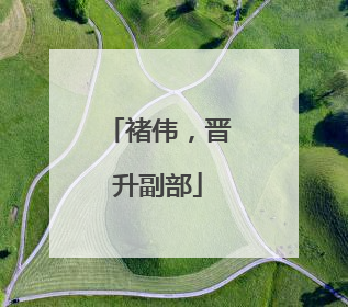 褚伟，晋升副部
