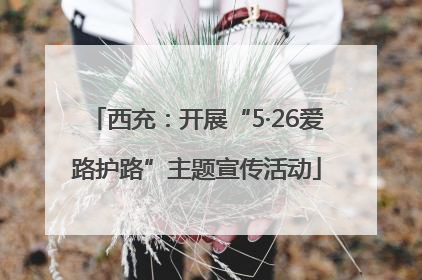 西充：开展“5·26爱路护路”主题宣传活动