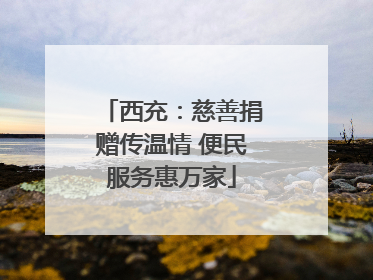 西充：慈善捐赠传温情 便民服务惠万家