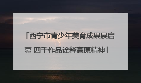 西宁市青少年美育成果展启幕 四千作品诠释高原精神
