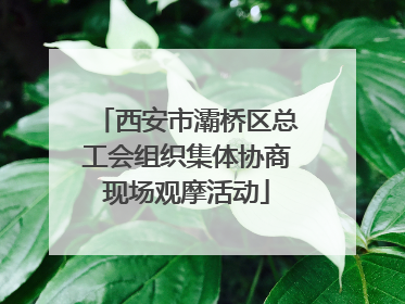 西安市灞桥区总工会组织集体协商现场观摩活动
