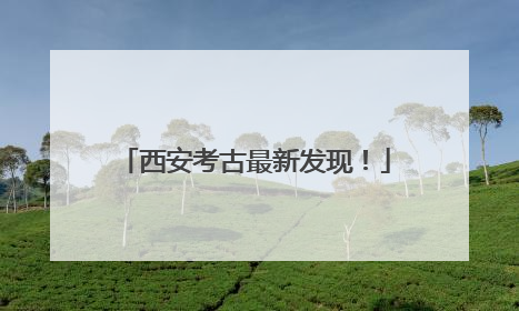西安考古最新发现！