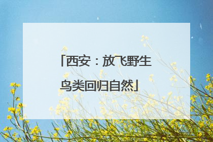 西安：放飞野生鸟类回归自然