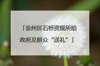 襄州区石桥资规所给政府及群众“送礼”