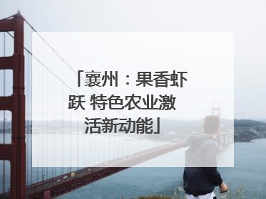 襄州：果香虾跃 特色农业激活新动能