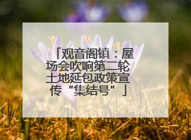 观音阁镇：屋场会吹响第二轮土地延包政策宣传“集结号”