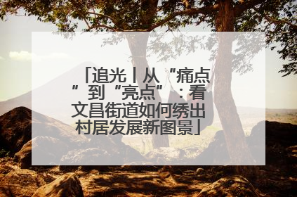 追光丨从“痛点”到“亮点”：看文昌街道如何绣出村居发展新图景
