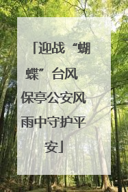 迎战“蝴蝶”台风 保亭公安风雨中守护平安