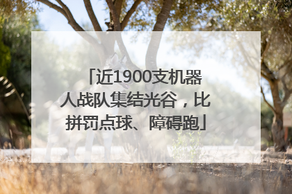 近1900支机器人战队集结光谷，比拼罚点球、障碍跑