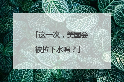 这一次，美国会被拉下水吗？