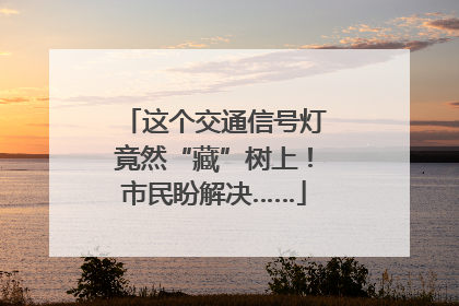 这个交通信号灯竟然“藏”树上！市民盼解决……