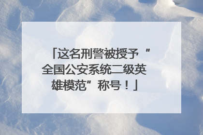 这名刑警被授予“全国公安系统二级英雄模范”称号！