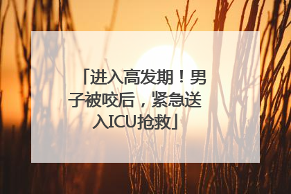 进入高发期！男子被咬后，紧急送入ICU抢救