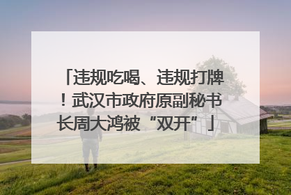违规吃喝、违规打牌！武汉市政府原副秘书长周大鸿被“双开”