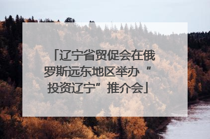 辽宁省贸促会在俄罗斯远东地区举办“投资辽宁”推介会