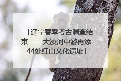 辽宁春季考古调查结束——大凌河中游再添44处红山文化遗址