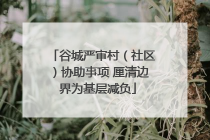 谷城严审村（社区）协助事项 厘清边界为基层减负