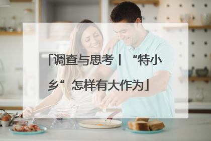 调查与思考丨“特小乡”怎样有大作为