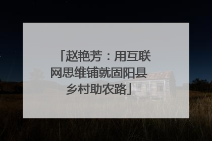 赵艳芳：用互联网思维铺就固阳县乡村助农路
