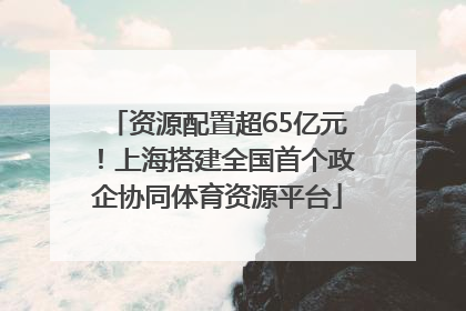 资源配置超65亿元！上海搭建全国首个政企协同体育资源平台