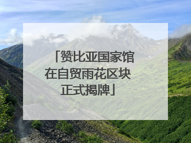 赞比亚国家馆在自贸雨花区块正式揭牌