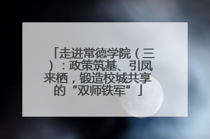 走进常德学院（三）：政策筑基、引凤来栖，锻造校城共享的“双师铁军”