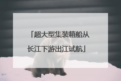 超大型集装箱船从长江下游出江试航