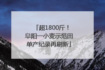 超1800斤！阜阳一小麦示范田单产纪录再刷新