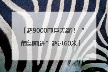 超9000吨巨无霸！“匍匐前进”超过60米
