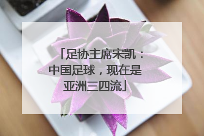 足协主席宋凯：中国足球，现在是亚洲三四流
