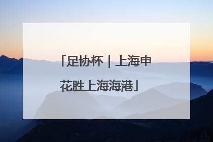 足协杯｜上海申花胜上海海港