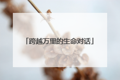 跨越万里的生命对话