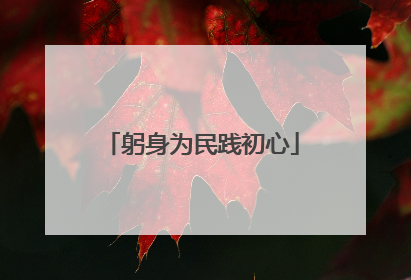躬身为民践初心