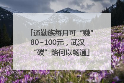 通勤族每月可“赚”80~100元，武汉“碳”路何以畅通