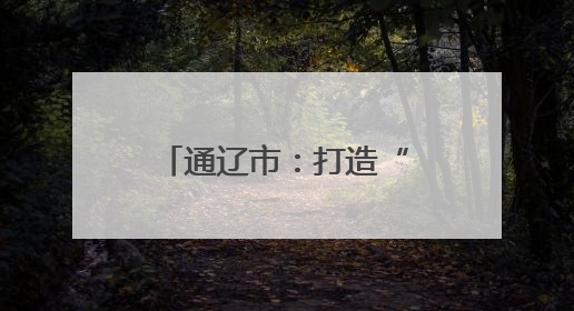 通辽市：打造“一园一展厅一基地”创新模式
