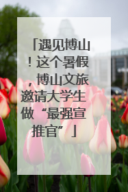 遇见博山！这个暑假，博山文旅邀请大学生做“最强宣推官”
