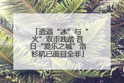 遭遇“冰”与“火”双重践踏 昔日“爱乐之城”洛杉矶已面目全非