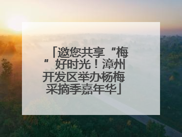 邀您共享“梅”好时光！漳州开发区举办杨梅采摘季嘉年华