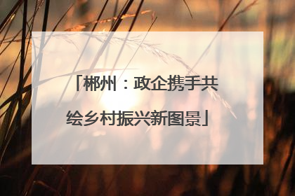 郴州：政企携手共绘乡村振兴新图景
