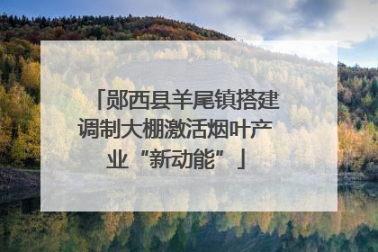 郧西县羊尾镇搭建调制大棚激活烟叶产业“新动能”