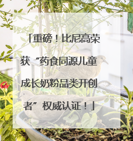 重磅！比尼高荣获“药食同源儿童成长奶粉品类开创者”权威认证！
