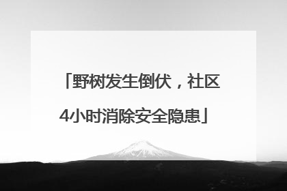 野树发生倒伏，社区4小时消除安全隐患