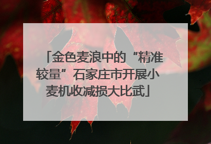 金色麦浪中的“精准较量”石家庄市开展小麦机收减损大比武