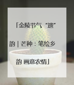 金陵节气“遗”韵｜芒种：笔绘乡韵 画意农情
