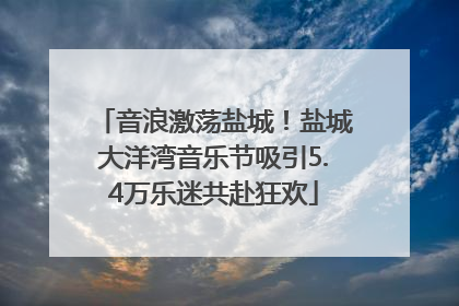 音浪激荡盐城！盐城大洋湾音乐节吸引5.4万乐迷共赴狂欢