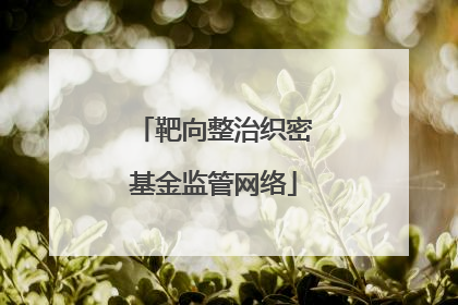 靶向整治织密基金监管网络