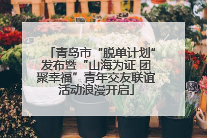 青岛市“脱单计划”发布暨“山海为证 团聚幸福”青年交友联谊活动浪漫开启