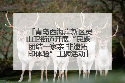 青岛西海岸新区灵山卫街道开展“民族团结一家亲 非遗拓印体验”主题活动
